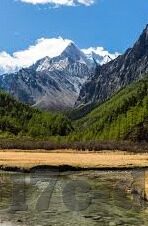 果冻传媒高速在线-探索果冻传媒高速在线的魅力，速度与激情的完美融合